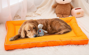 35602 Washable And Durable Pet Mat