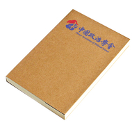 ​The-Chinese-Association-of-Political-Science-CAPS