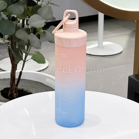 Customization Sports Inspirational Water Bottle 600ml Corporate Gifts