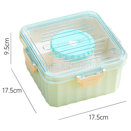 Customization Transparent Salad Lunch Box Corporate Gifts