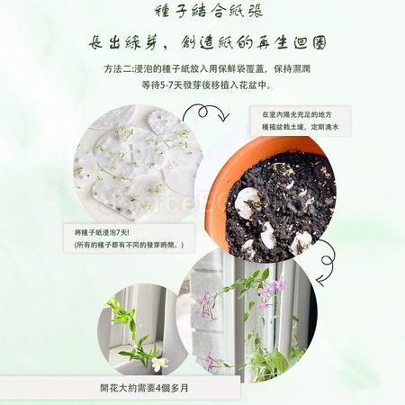 Customization Seed Paper Notebook Corporate Gifts