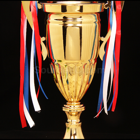 Customization Metal Trophy Corporate Gifts