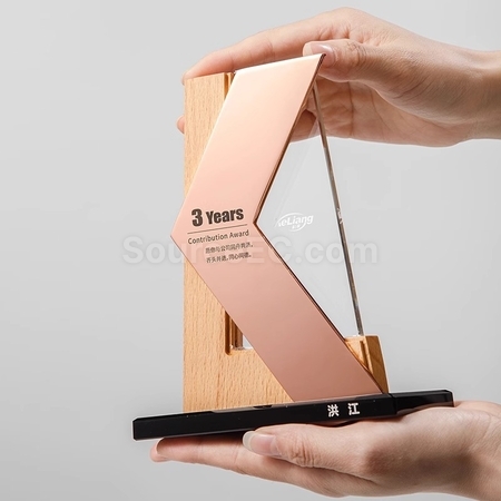 Customization Creative Crystal Trophy Corporate Gifts