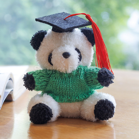 Customization Graduation Bear Keychain Corporate Gifts