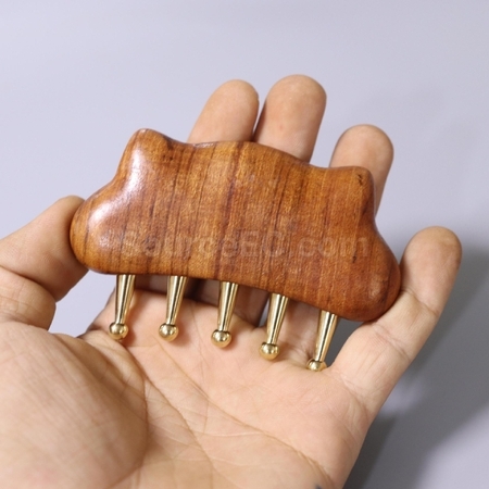 Customization Meridian wooden comb Corporate Gifts