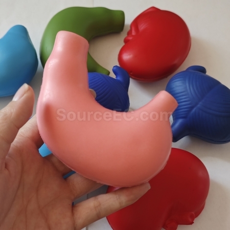 Customization Organ stress ball  Corporate Gifts