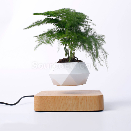 Customization Magnetic Levitation Bonsai (Without Plants) Corporate Gifts