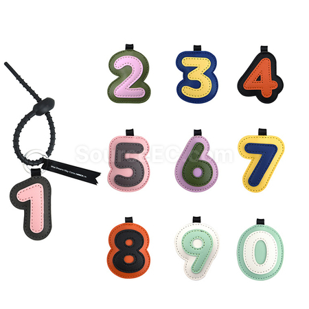 Lucky Number Keychain