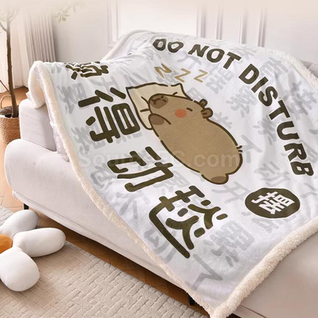 Customization Electric Blanket Corporate Gifts