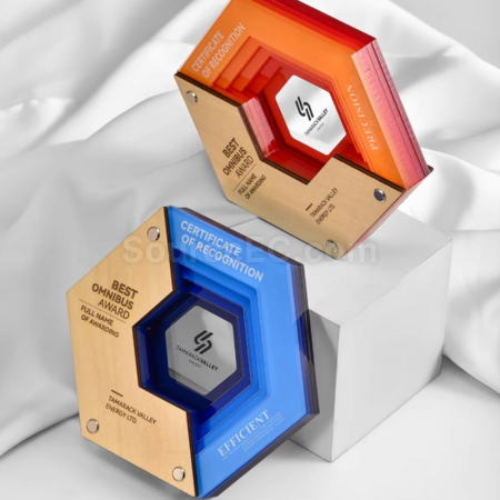Customization Multi-layer Acrylic Wooden Trophy Corporate Gifts