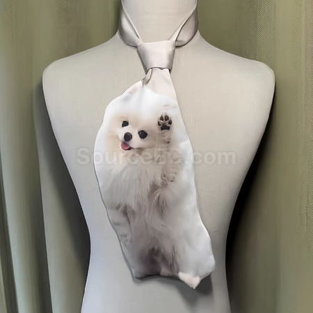 Customization Irregular tie Corporate Gifts