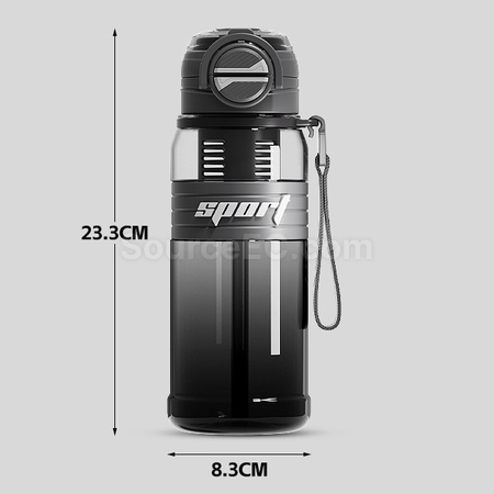 Customization Dual-suction Straw Sports Water Bottle Corporate Gifts