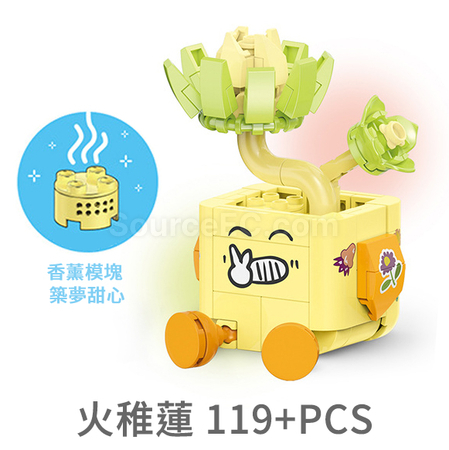 Customization Emoji Succulent Plant Building Blocks Box Corporate Gifts