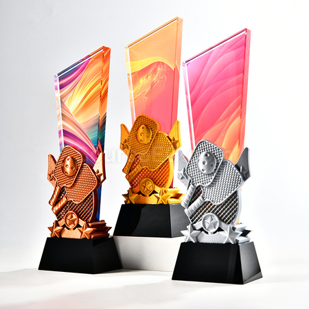 Pickleball Themed Color Printed Crystal Trophy