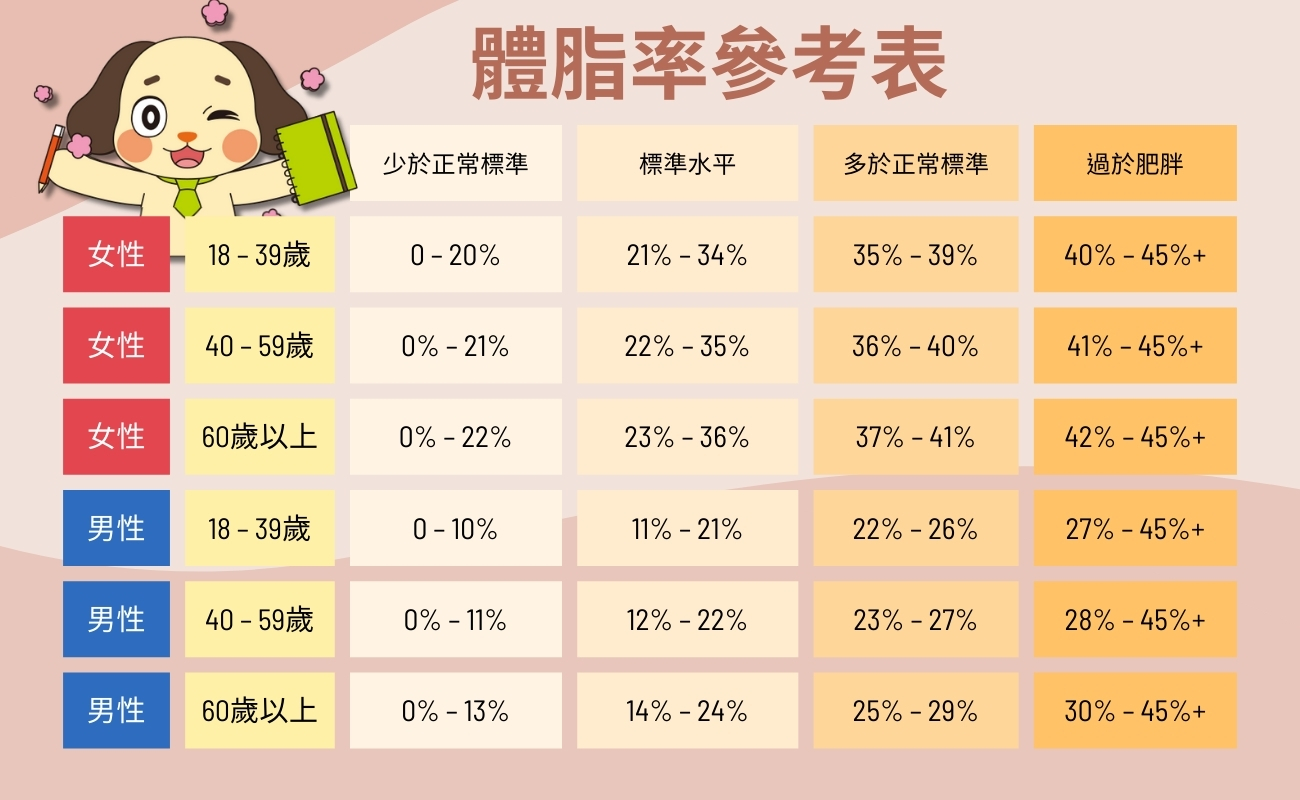 BMI健康禮品
