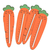 Carrot Ruler
