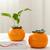 Orange Ceramic Flower Pot