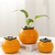Orange Ceramic Flower Pot
