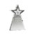 Star Crystal Trophy