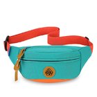 Travel Waist Pack