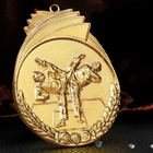 Taekwondo Metal Medal