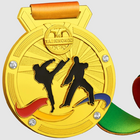 Taekwondo Metal Medal