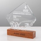 Crystal Metal Solid Wood Award