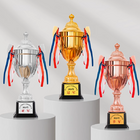 Metal Trophy